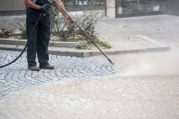 Best Pre-Holiday Cleaning  in Woodlake, CA